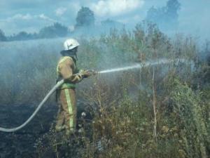Новина На Кіровоградщині протягом минулої доби виникло три пожежі сухої трави Ранкове місто. Кропивницький