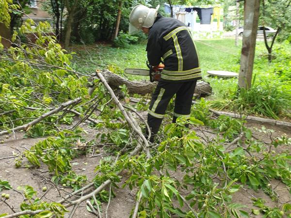 Новина Кіровоградська область: Рятувальники прибирають аварійні дерева Ранкове місто. Кропивницький