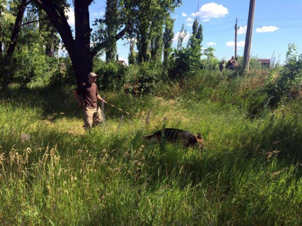 Новина Кінолог з Кіровоградщини зі своїм собакою розшукали хлопчика-втікача Ранкове місто. Кропивницький