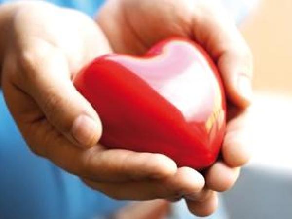 Новина 25-26 апреля все кировоградцы смогут бесплатно провериться у лучших кардиологов Ранкове місто. Кропивницький