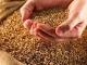 Скільки зерна реалізувала Кіровоградщина у цьому році?