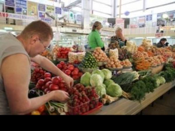 Новина Урожай-2013: сколько заплатим за еду? (Инфографика) Ранкове місто. Кропивницький