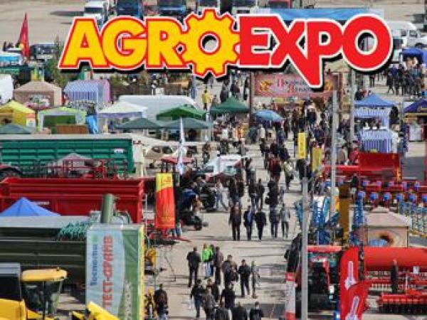 Новина В Кировограде осенью пройдет выставка AgroExpo Ранкове місто. Кропивницький