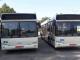 З’явився графік руху нових автобусів у Кропивницькому