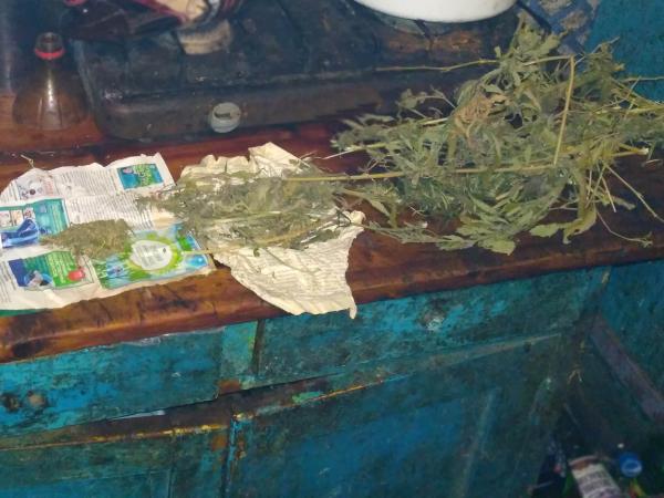 Новина На Голованівщині молодики зберігали вдома опій і марихуану Ранкове місто. Кропивницький