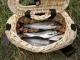 В этом году на Кировоградщине выловлено почти вдвое меньше рыбы