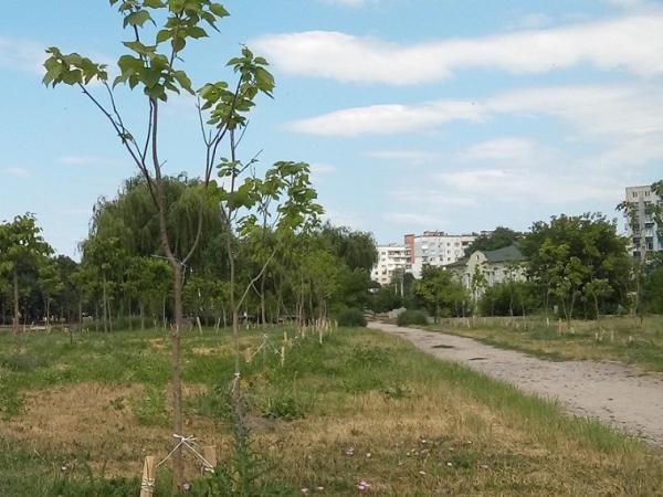 Новина Кропивницький: «Зелених» активістів запрошують полити дерева на Набережній Ранкове місто. Кропивницький