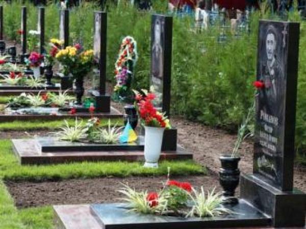 Новина З Алеї Почесних поховань на Рівнянському кладовищі викрали деревця Ранкове місто. Кропивницький