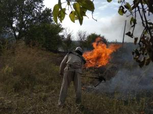 Новина На Кіровоградщині рятувальники загасили шість пожеж сухої трави та сміття Ранкове місто. Кропивницький