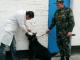 В Кировограде осмотрели служебных собак
