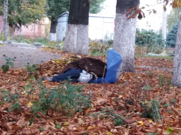 Новина Кропивницький: Як можна класно відпочити у купі листя Ранкове місто. Кропивницький