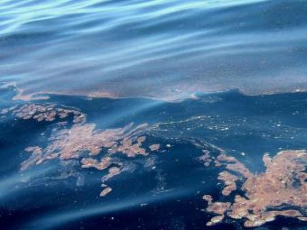 Новина В Крыму случился сброс нефтепродуктов в море с российского корабля Ранкове місто. Кропивницький