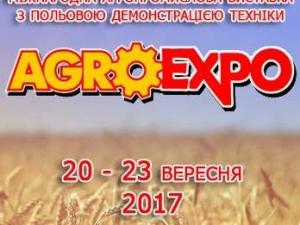 Новина Завтра відкриється найбільша виставка України AGROEXPO-2017 (відео) Ранкове місто. Кропивницький