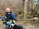 Кропивницький район: рятувальники дістали собаку з колодязя