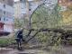 Рятувальники Кіровоградщини п’ять разів надавали допомогу по прибиранню аварійних дерев та тричі - водіям на складних ділянках доріг