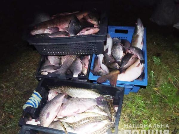 Новина На Кіровоградщині затримали браконьєрів, які ловили рибу за допомогою електроструму Ранкове місто. Кропивницький