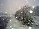 Погода в Кропивницком на сегодня, 26 декабря