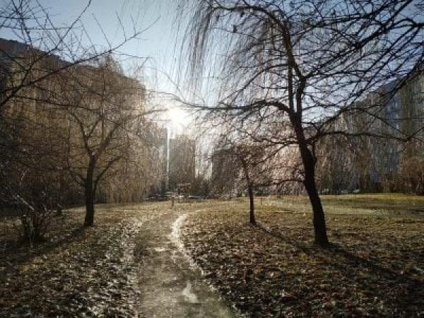 Новина Прогноз погоди на 21 січня у Кропивницькому: опадів не очікується Ранкове місто. Кропивницький
