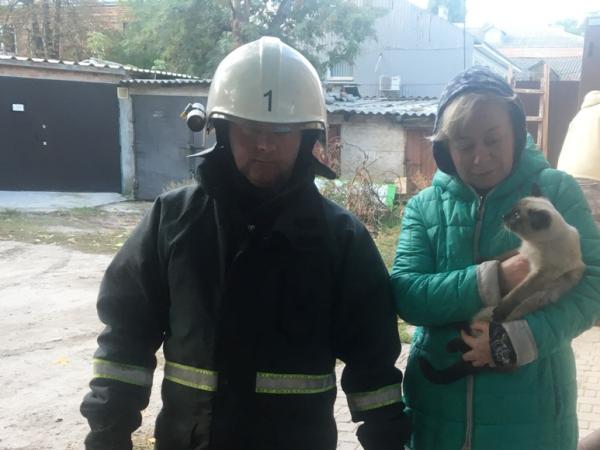 Новина У Кропивницькому рятувальники зняли домашнього улюбленця з небезпечної висоти Ранкове місто. Кропивницький