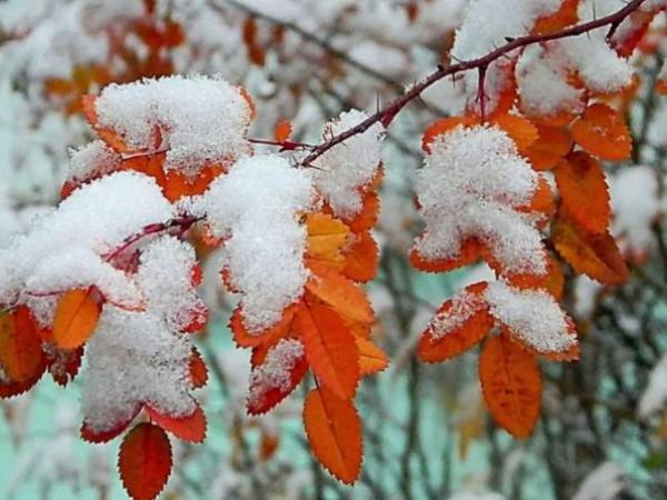 Новина У Кропивницькому у четвер обіцяють дощ зі снігом Ранкове місто. Кропивницький