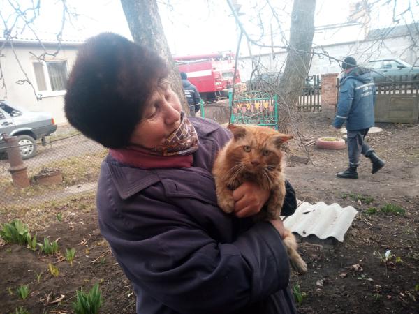 Новина Рятувальники Кіровоградщини визволили кота та собаку із безвихідного становища Ранкове місто. Кропивницький