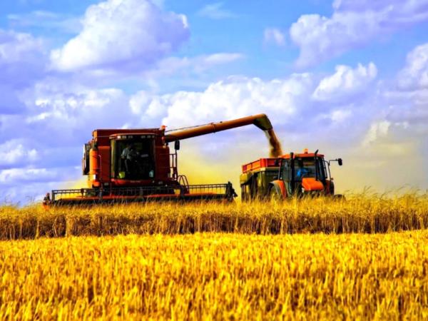 Новина Українські аграрії вже отримали 5 мільярдів гривень на посівну від ПриватБанку Ранкове місто. Кропивницький
