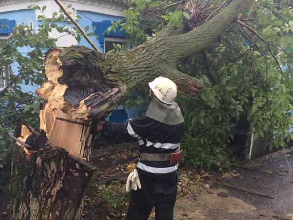 Новина На Кіровоградщині надзвичайники прибирають повалені дерева Ранкове місто. Кропивницький