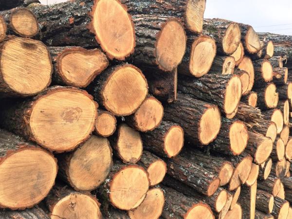 Новина Триває доставка безкоштовних дров на прифронтові території Ранкове місто. Кропивницький