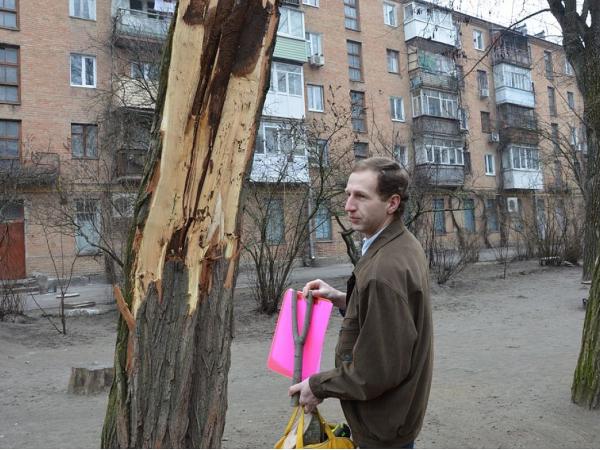 Новина Від теорії - до практики: У Кропивницькому обстежують дерева по новим правилам Ранкове місто. Кропивницький