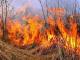Кропивницький: Жителька селища Нового отримала опіки під час гасіння стихійної пожежі