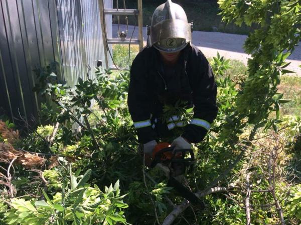 Новина На Кіровоградщині рятувальники прибирали дерева, що впали після сильного вітру Ранкове місто. Кропивницький