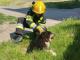 Олександрійські рятувальники дістали собаку з ями на Садовій