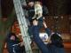 У Кропивницькому рятувальники зняли кота з дерева