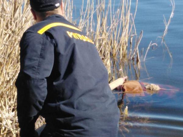 Новина На Кіровоградщині у річці Бешка потонув 52-річний чоловік Ранкове місто. Кропивницький
