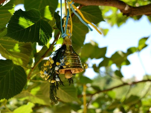 Новина На честь маленьких янголяток у Кропивницькому вивісили на дерева дзвіночки Ранкове місто. Кропивницький