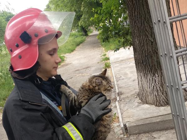 Новина У Кропивницькому бійці ДСНС України визволили кота та собаку із безвиході Ранкове місто. Кропивницький