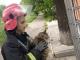 У Кропивницькому бійці ДСНС України визволили кота та собаку із безвиході