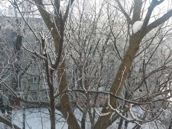 Новина Погода у Кропивницькому 23 грудня Ранкове місто. Кропивницький