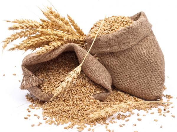 Новина На Кіровоградщині судитимуть керівника зернового складу за розтрату пшениці та кукурудзи на 6 мільйонів Ранкове місто. Кропивницький