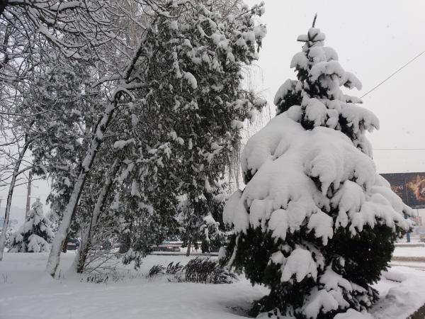Новина Погода у Кропивницькому на Водохреща, 19 січня Ранкове місто. Кропивницький