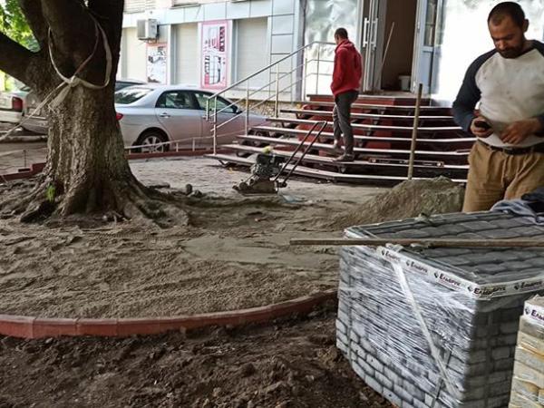 Новина Кропивинчан просять допомоги, аби покарати підприємця за псування дерев та образу екоактивістки (ФОТО) Ранкове місто. Кропивницький