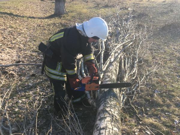 Новина Кіровоградська область: Рятувальники прибирають дерева, що впали після буревію Ранкове місто. Кропивницький