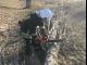 Кіровоградська область: Рятувальники прибирають дерева, що впали після буревію