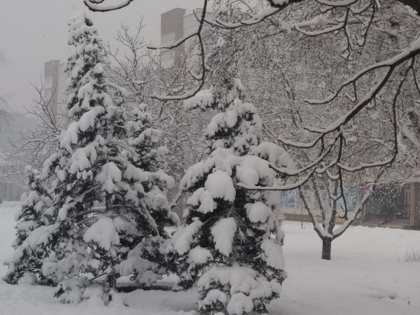Новина Погода у Кропивницькому у неділю, 18 лютого Ранкове місто. Кропивницький