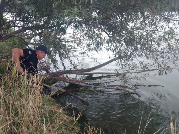 Новина На Кіровоградщині потонув 52-річний чоловік Ранкове місто. Кропивницький