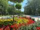 Кіровоградщина: Якими будуть оновлений парк і палац культури в Олександрії