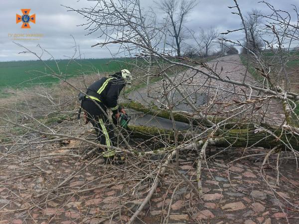 Новина Рятувальники Кіровоградщини прибирали дерева, які знесло буревієм Ранкове місто. Кропивницький