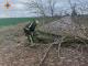 Рятувальники Кіровоградщини прибирали дерева, які знесло буревієм