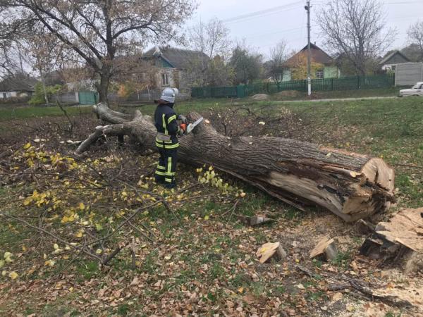 Новина На Кіровоградщині рятувальники два рази розпилювали аварійні дерева Ранкове місто. Кропивницький
