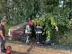 Кіровоградщина: На трасі біля селища Лісове сталася смертельна аварія